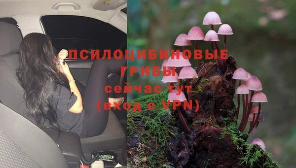 дмт Верхний Тагил