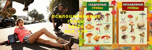 тгк Вязьма