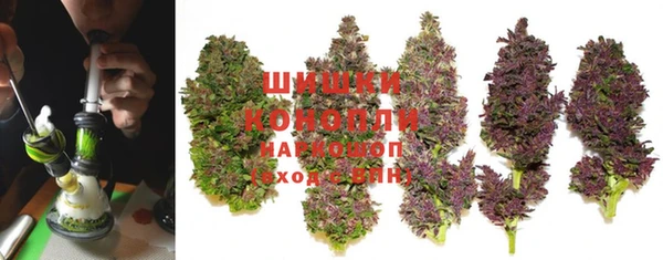 ALPHA PVP Горнозаводск